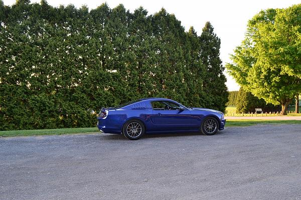 2010-2014 Ford Mustang S-197 Gen II Lets see your latest Pics PHOTO GALLERY-dsc_1115.jpg