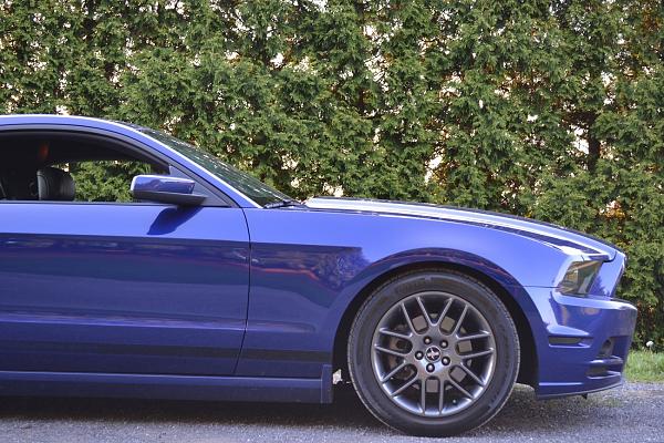 2010-2014 Ford Mustang S-197 Gen II Lets see your latest Pics PHOTO GALLERY-dsc_1125.jpg