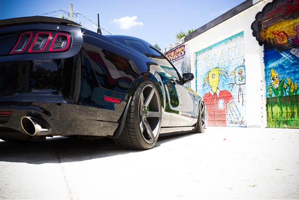 2010-2014 Ford Mustang S-197 Gen II Lets see your latest Pics PHOTO GALLERY-image-3896959113.jpg