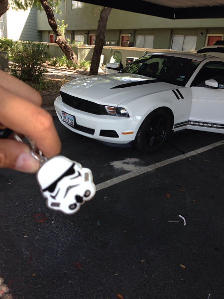 2010-2014 Ford Mustang S-197 Gen II Lets see your latest Pics PHOTO GALLERY-image-632208536.jpg