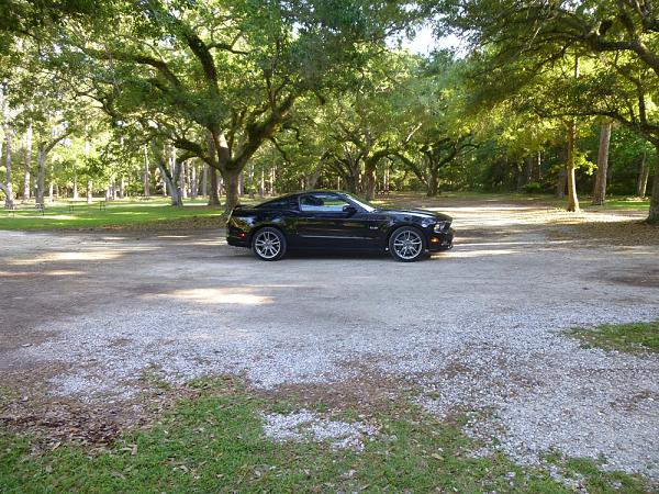 2010-2014 Ford Mustang S-197 Gen II Lets see your latest Pics PHOTO GALLERY-p1000715.jpg