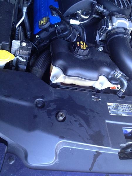 Boss 302 ate 4 quarts of oil-img_2036.jpg