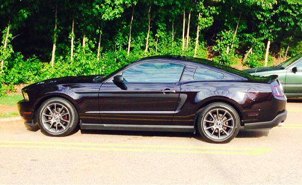 2010-2014 Ford Mustang S-197 Gen II Lets see your latest Pics PHOTO GALLERY-image-1267429285.jpg