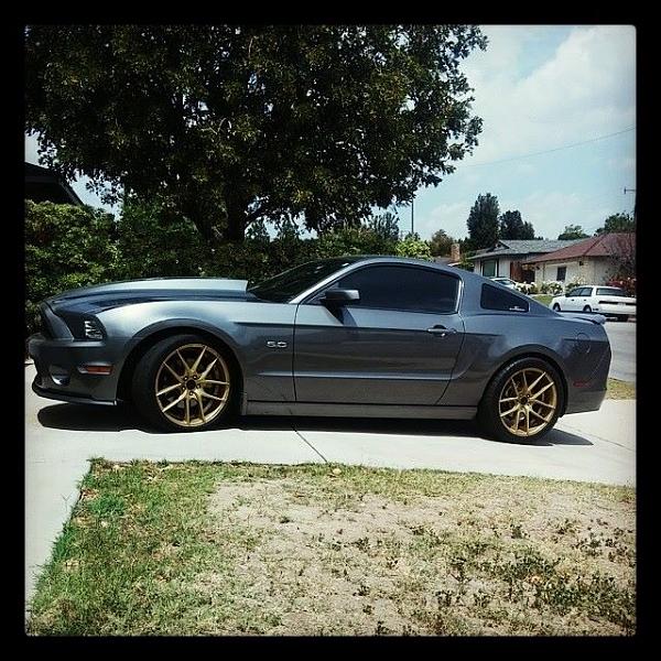 2010-2014 Ford Mustang S-197 Gen II Lets see your latest Pics PHOTO GALLERY-image-91757520.jpg