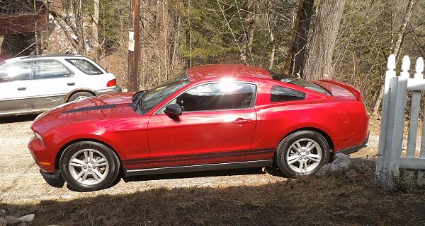 new member-mustang4.jpg
