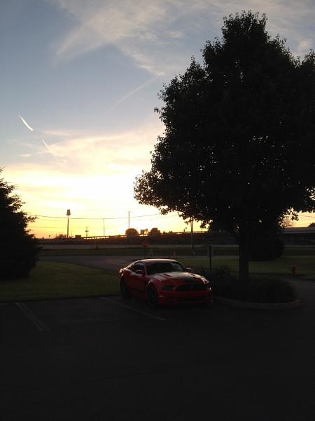 2010-2014 Ford Mustang S-197 Gen II Lets see your latest Pics PHOTO GALLERY-image-3504849782.jpg