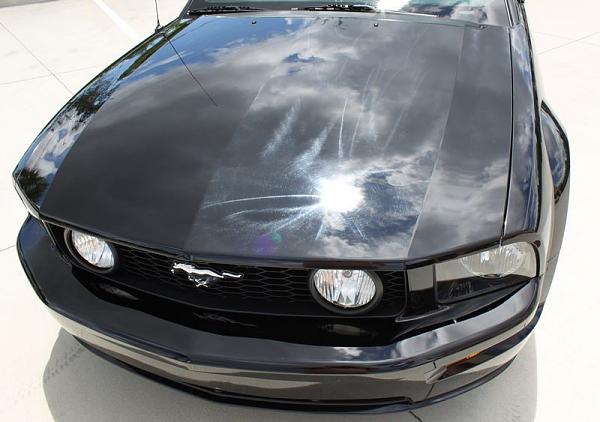 2010-2014 Ford Mustang S-197 Gen II Lets see your latest Pics PHOTO GALLERY-image-587572915.jpg