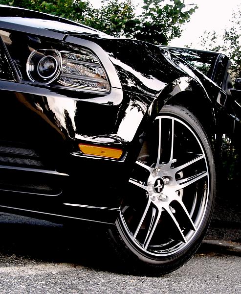 2010-2014 Ford Mustang S-197 Gen II Lets see your latest Pics PHOTO GALLERY-005-copy.jpg