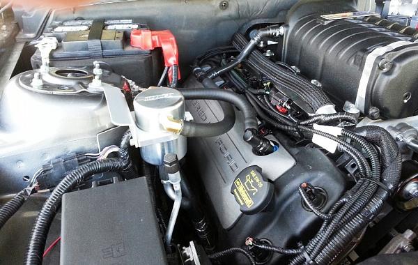 Anyone with a Roush supercharger + a  Oil Seperator?-moroso-large-body-test2.jpg