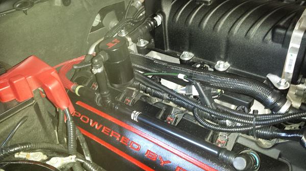 Anyone with a Roush supercharger + a  Oil Seperator?-20140704_121636.jpg