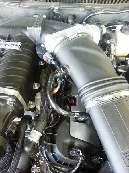 Anyone with a Roush supercharger + a  Oil Seperator?-20140622_164804_resized-copy.jpg