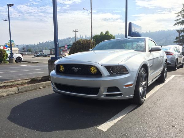 2010-2014 Ford Mustang S-197 Gen II Lets see your latest Pics PHOTO GALLERY-image-1984473427.jpg