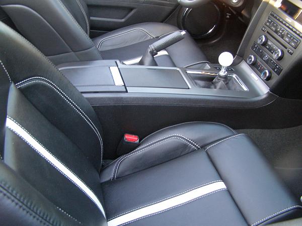 leather seat conditioner-023.jpg