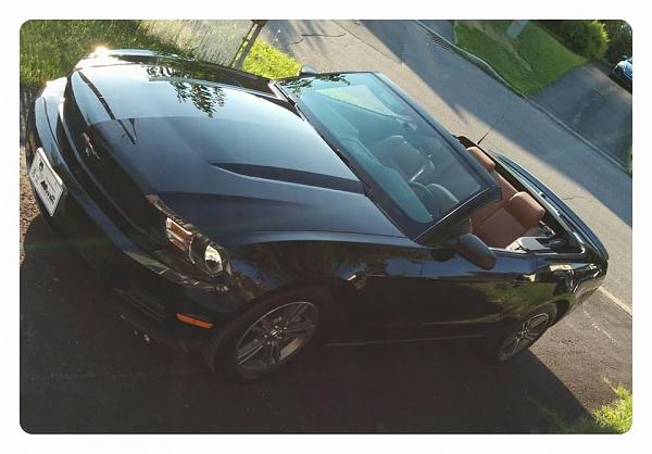 2010-2014 Ford Mustang S-197 Gen II Lets see your latest Pics PHOTO GALLERY-10556272_10152655703526807_3799410156391717464_n.jpg