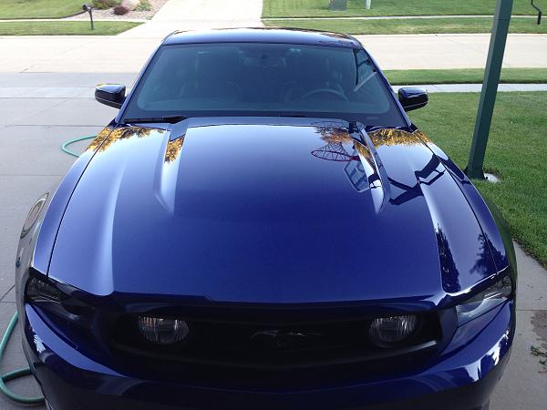 2010-2014 Ford Mustang S-197 Gen II Lets see your latest Pics PHOTO GALLERY-image-1936605364.jpg