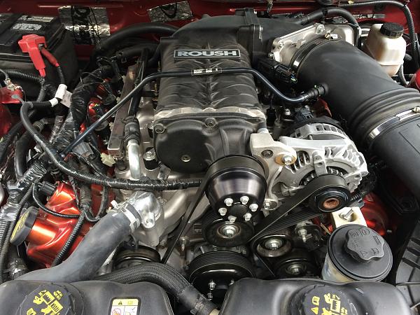 2010-2014 Ford Mustang S-197 Gen II Lets see your latest Pics PHOTO GALLERY-2014-07-26-15.35.36.jpg
