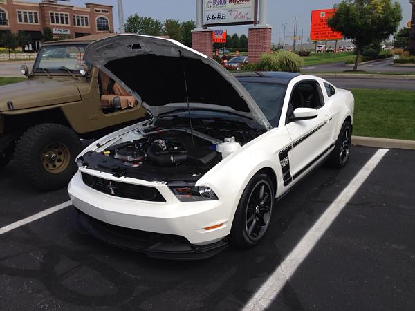 2010-2014 Ford Mustang S-197 Gen II Lets see your latest Pics PHOTO GALLERY-image-3985096582.jpg