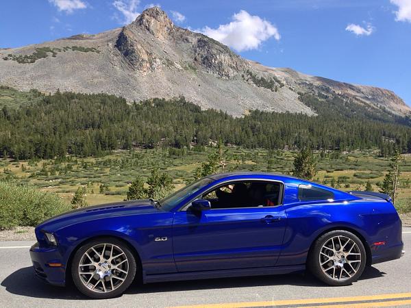 2010-2014 Ford Mustang S-197 Gen II Lets see your latest Pics PHOTO GALLERY-img_2806.jpg