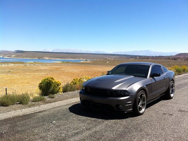 2010-2014 Ford Mustang S-197 Gen II Lets see your latest Pics PHOTO GALLERY-img_3560.jpg