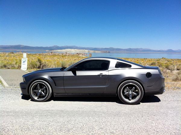 2010-2014 Ford Mustang S-197 Gen II Lets see your latest Pics PHOTO GALLERY-img_3561a.jpg