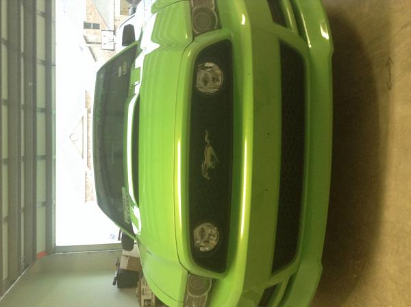 2010-2014 Ford Mustang S-197 Gen II Lets see your latest Pics PHOTO GALLERY-image.jpg