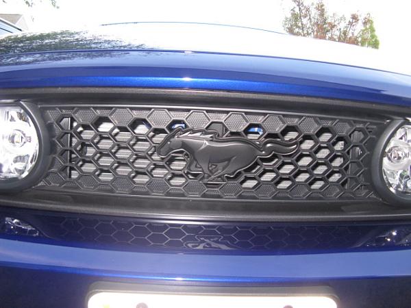 First post with introduction-img_3922.jpg
