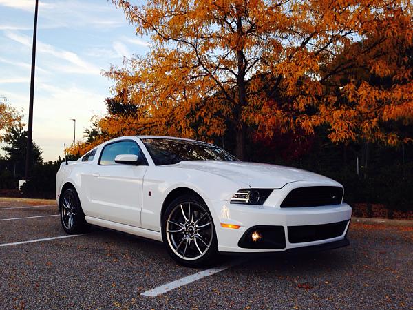 2010-2014 Ford Mustang S-197 Gen II Lets see your latest Pics PHOTO GALLERY-image-4115840694.jpg