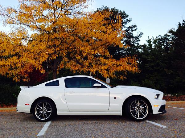 2010-2014 Ford Mustang S-197 Gen II Lets see your latest Pics PHOTO GALLERY-image-2810691811.jpg