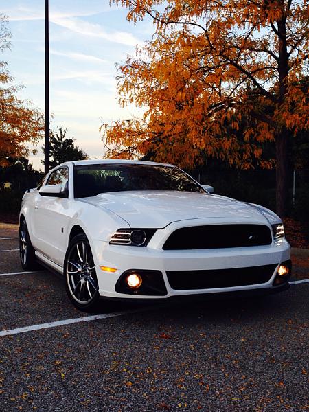 2010-2014 Ford Mustang S-197 Gen II Lets see your latest Pics PHOTO GALLERY-image-3148950303.jpg