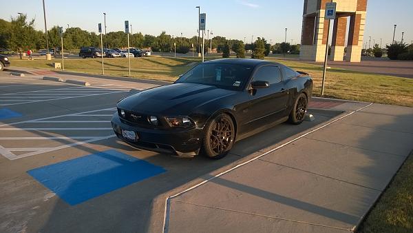 2010-2014 Ford Mustang S-197 Gen II Lets see your latest Pics PHOTO GALLERY-blackgt.jpg