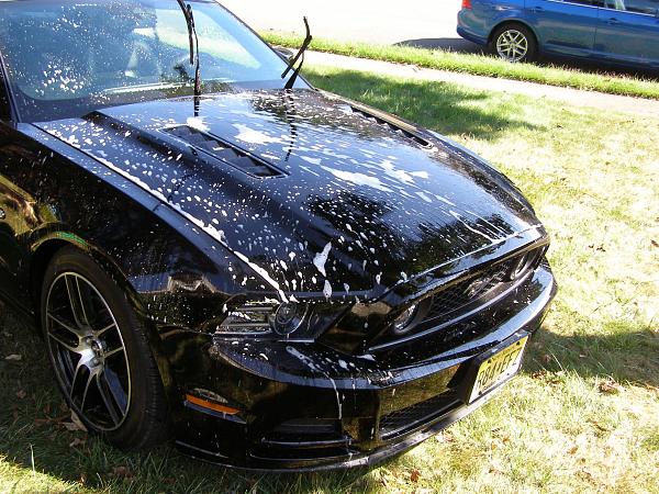 2010-2014 Ford Mustang S-197 Gen II Lets see your latest Pics PHOTO GALLERY-002.jpg