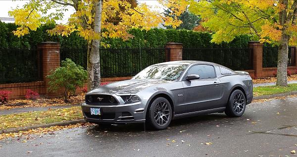 2010-2014 Ford Mustang S-197 Gen II Lets see your latest Pics PHOTO GALLERY-2014-10-25-13.30.41.jpg