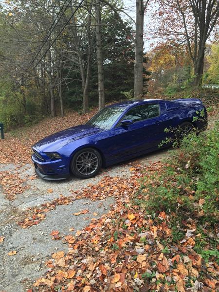 2010-2014 Ford Mustang S-197 Gen II Lets see your latest Pics PHOTO GALLERY-image-7457555.jpg