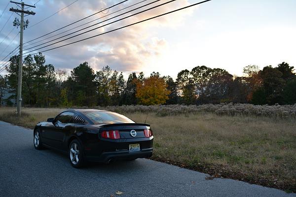 2010-2014 Ford Mustang S-197 Gen II Lets see your latest Pics PHOTO GALLERY-dsc_0568-edit.jpg