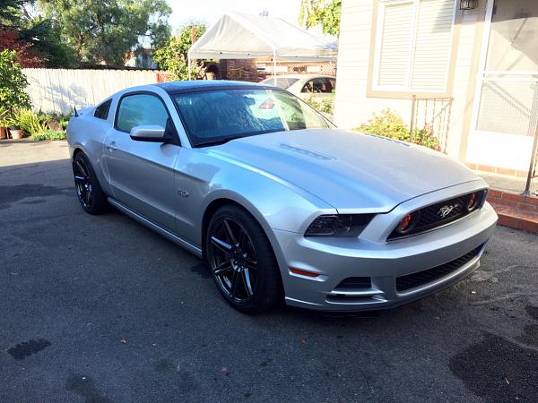 2010-2014 Ford Mustang S-197 Gen II Lets see your latest Pics PHOTO GALLERY-image-1606089477.jpg