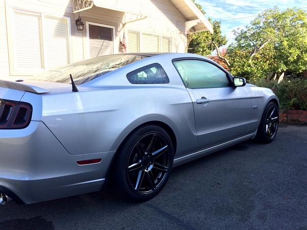2010-2014 Ford Mustang S-197 Gen II Lets see your latest Pics PHOTO GALLERY-image-1527728039.jpg