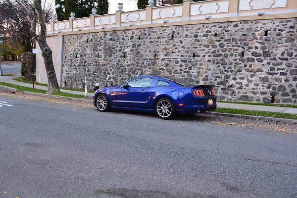 2010-2014 Ford Mustang S-197 Gen II Lets see your latest Pics PHOTO GALLERY-dsc_0679.jpg