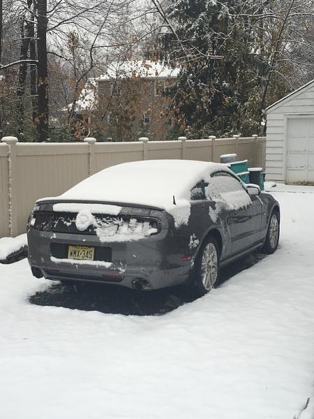 Snow stangs - let's see 'em-image-332463793.jpg