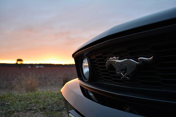 2010-2014 Ford Mustang S-197 Gen II Lets see your latest Pics PHOTO GALLERY-dsc_0408-edit.jpg