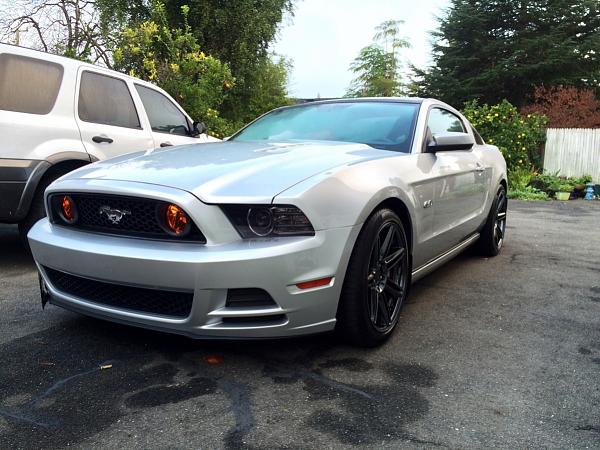 2010-2014 Ford Mustang S-197 Gen II Lets see your latest Pics PHOTO GALLERY-image-1751796261.jpg