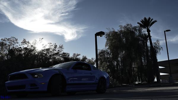 2010-2014 Ford Mustang S-197 Gen II Lets see your latest Pics PHOTO GALLERY-dsc_0262.jpg