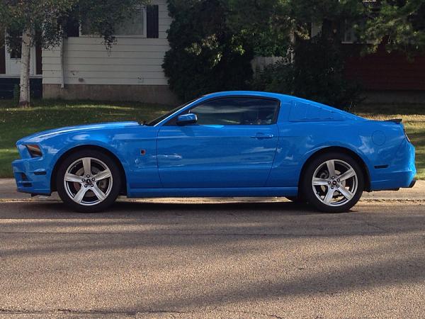 2010-2014 Ford Mustang S-197 Gen II Lets see your latest Pics PHOTO GALLERY-image-1955909168.jpg
