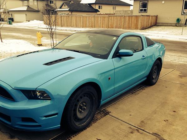 2010-2014 Ford Mustang S-197 Gen II Lets see your latest Pics PHOTO GALLERY-image-2271574088.jpg