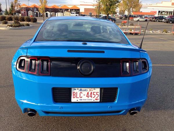 2010-2014 Ford Mustang Show us your rear end PHOTO GALLERY-image-3508058373.jpg