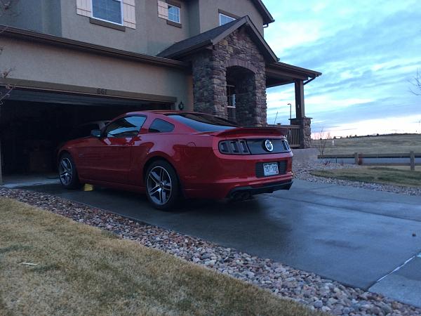 2010-2014 Ford Mustang Show us your rear end PHOTO GALLERY-2015-01-23-17.09.14.jpg