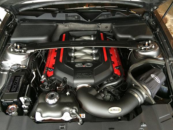 Engine Bay upgrades, check it out-image.jpg