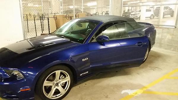 2010-2014 Ford Mustang S-197 Gen II Lets see your latest Pics PHOTO GALLERY-stang2.jpg