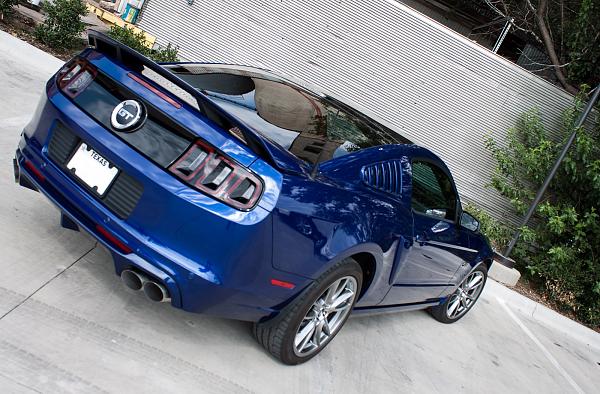 2010-2014 Ford Mustang Show us your rear end PHOTO GALLERY-back.jpg