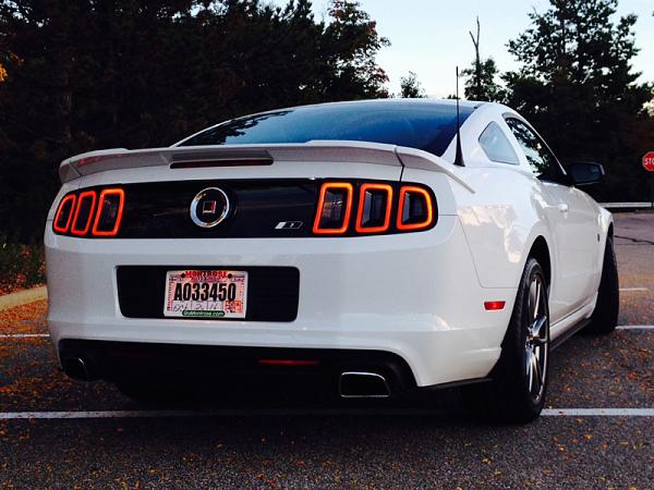 2010-2014 Ford Mustang Show us your rear end PHOTO GALLERY-image-3069413004.jpg