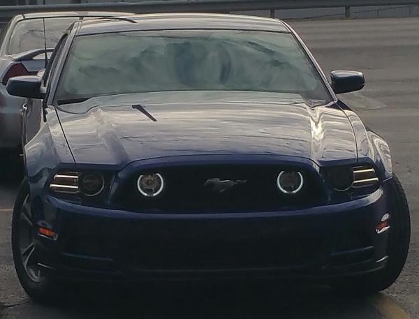 2010-2014 Ford Mustang S-197 Gen II Lets see your latest Pics PHOTO GALLERY-2015-02-15-13.55.46.jpg